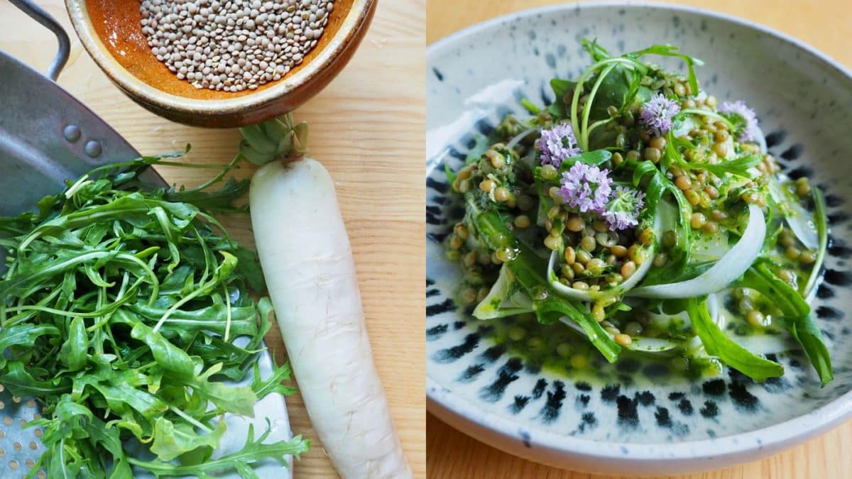 Rettich-Rucola-Salat mit Linsenvinaigrette