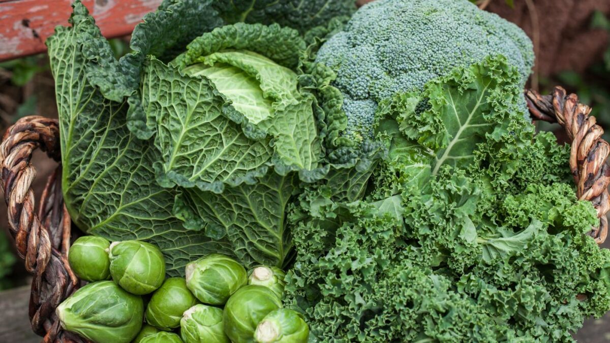 Gemüse, das den Stoffwechsel anregt