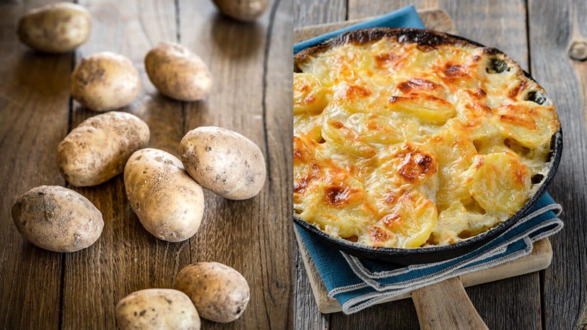 Kartoffelgratin Bodenkohlrabi und Apfel