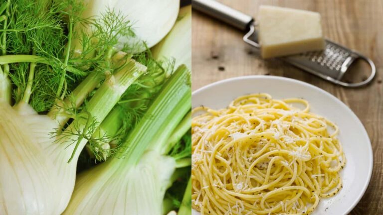 Fenchel und Spaghetti mit Käse