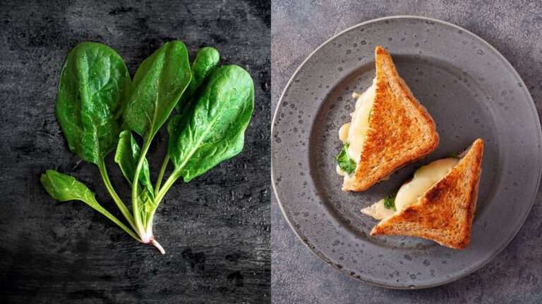 Frischer Spinat und gegrilltes Käse-Sandwich