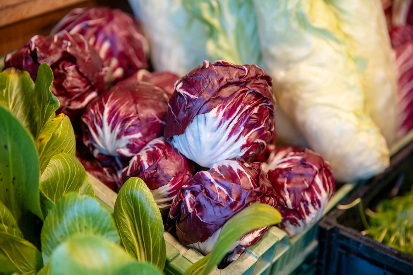 Verschiedene Salatsorten auf einem Marktstand