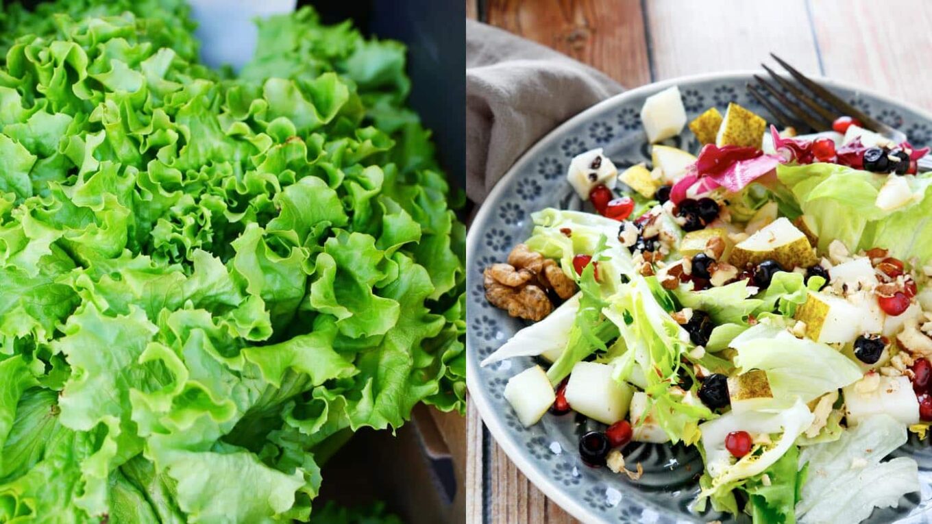 Frischer Salat mit Nüssen und Früchten