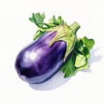 Lila Aubergine mit grünen Blättern