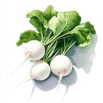 Frische Rüben mit grünen Blättern