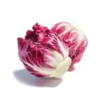 Zwei Köpfe Cicorino rosso auf weissem Hintergrund