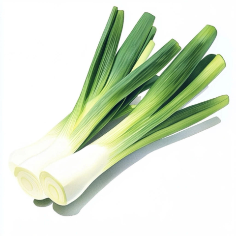 Zwei Stangen frischer Lauch mit grünen Blättern