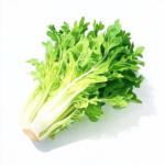 Frischer grüner Salat vor weißem Hintergrund.