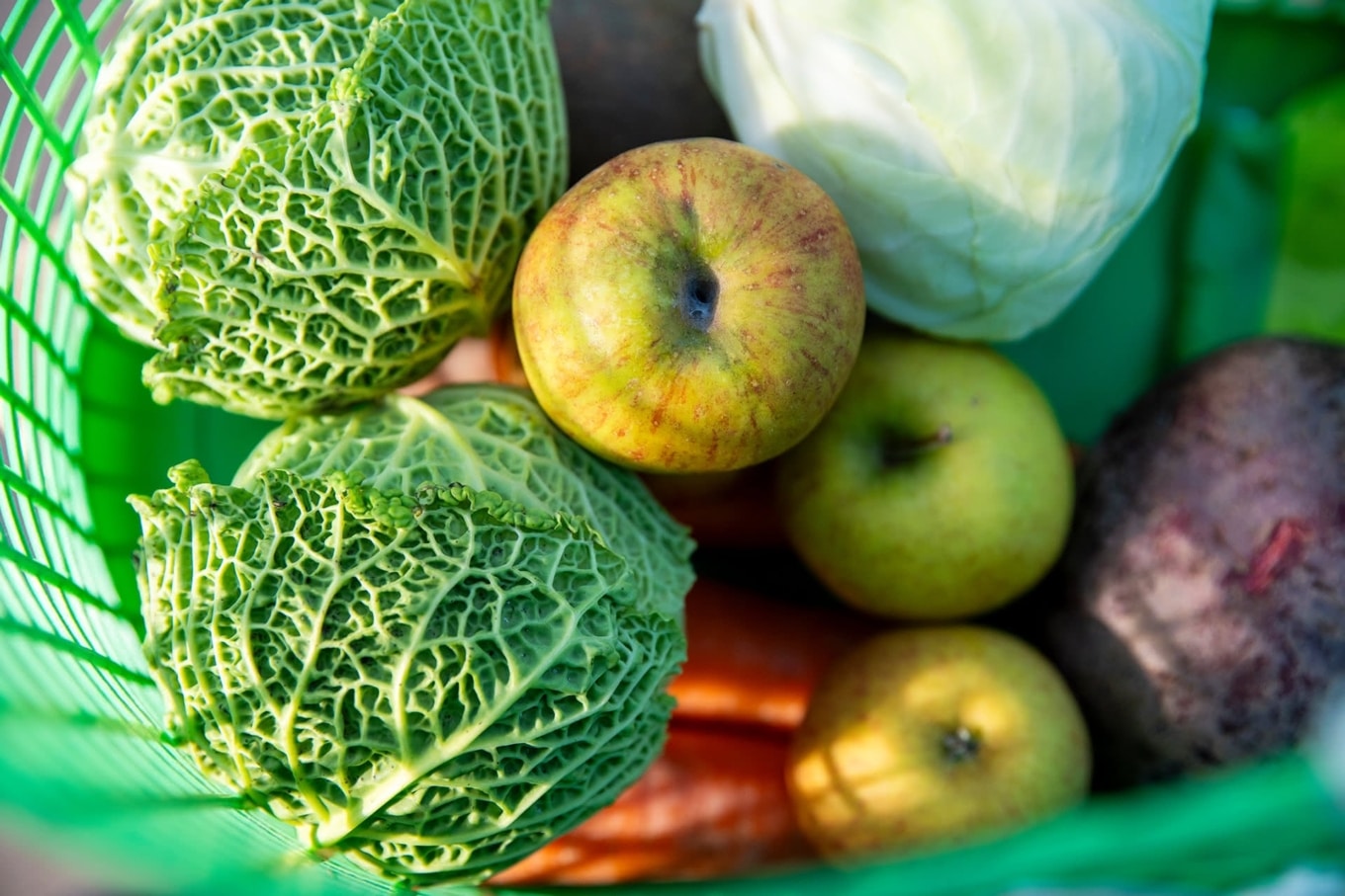 Korb mit Gemüse und Früchten
