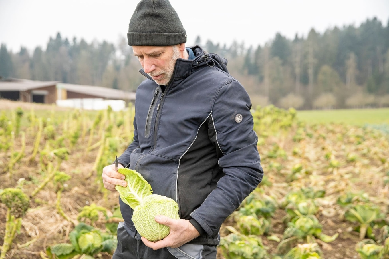 Simon Kohler vom Trottenhof mit Wirsingkohl auf einem Feld