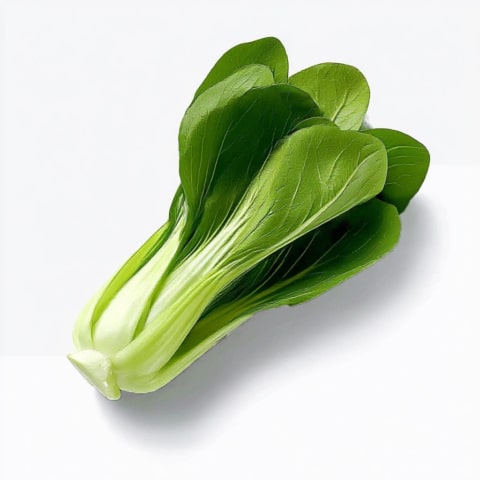Frischer Pak Choi auf weißem Hintergrund