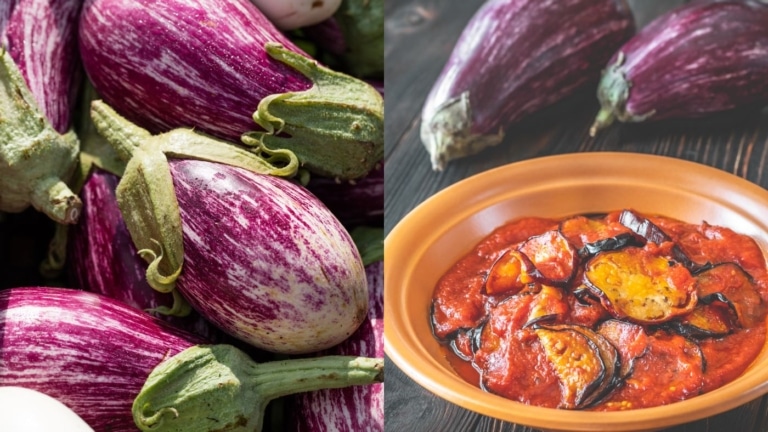 Tomaten-Aubergine Dip