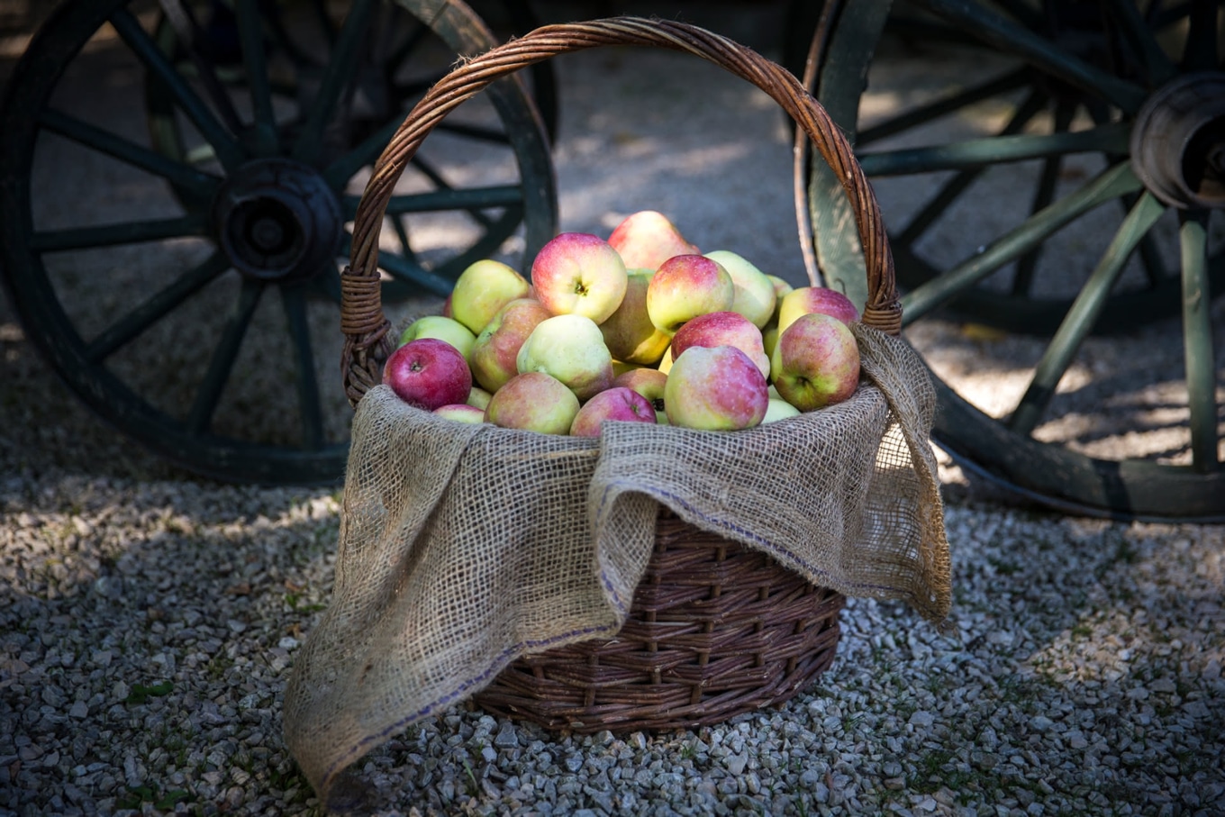 Korb mit Äpfeln vor Holzwagenrädern