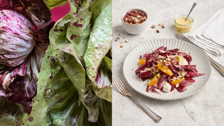 Cicorinosalat mit Orangen