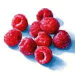 Frische Himbeeren auf weißem Hintergrund