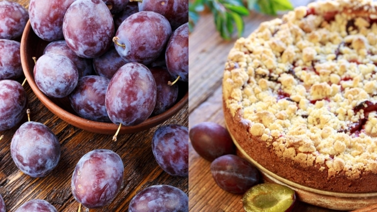 Frische Pflaumen und Pflaumenkuchen mit Streuseln